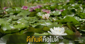 20150416_TooMuchOfAGoodThing - Copy