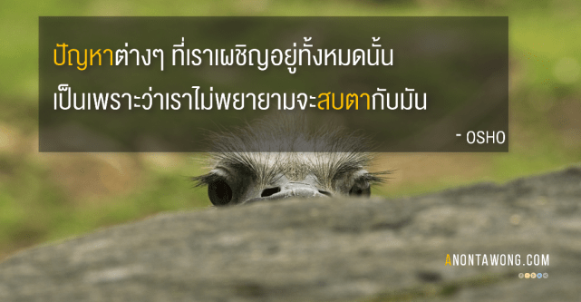 20150627_LookInTheEye