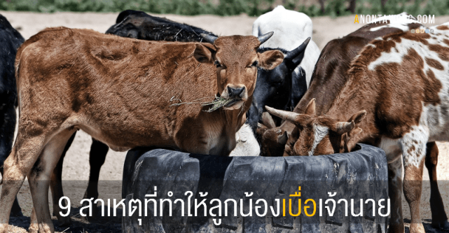 20150702_9ReasonsEmployeesResentTheirBoss