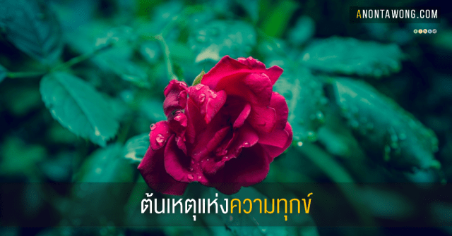 20150928_RootOfSuffering