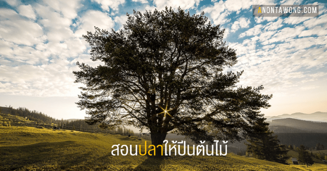 20160112_FishClimbATree