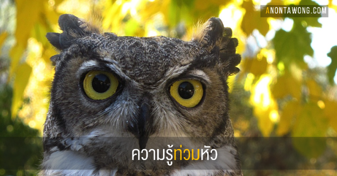 20160201_PlentyOfKnowledge