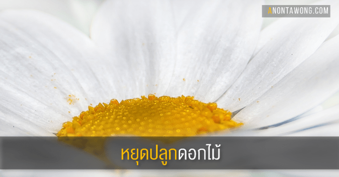 20161128_stopflowers