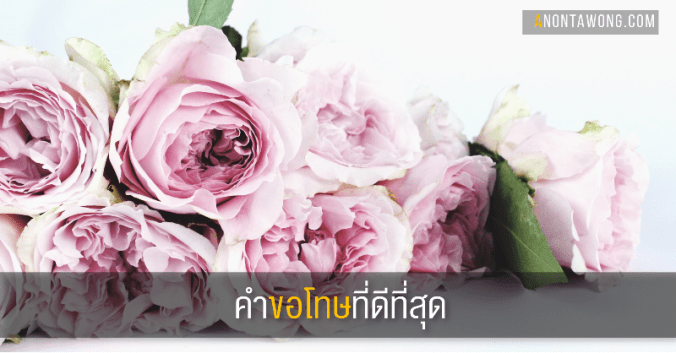 20161221_bestapology