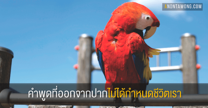 20170323_wordsofmouth