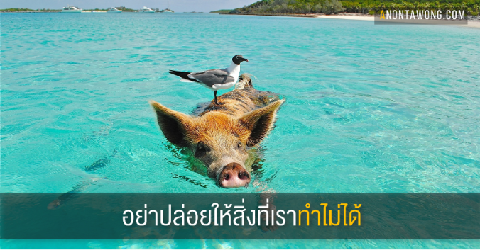 20170501_whatyoucando