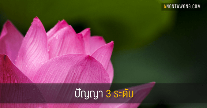 20170510_threestages