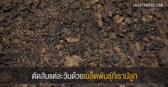 20170615_seedsyouplant