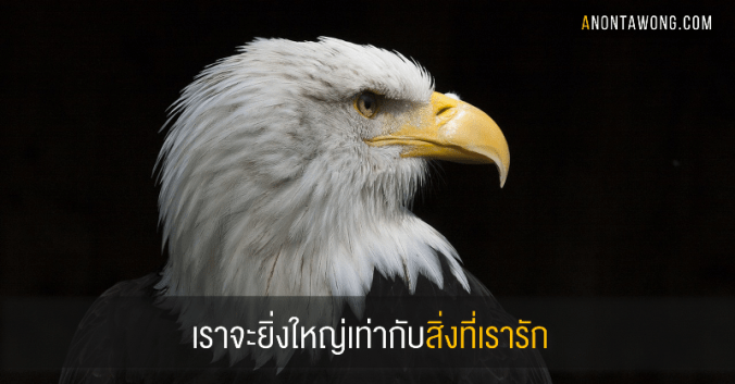 20170715_whatyoulove