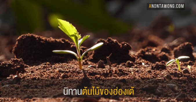 20170908_emperor_seeds