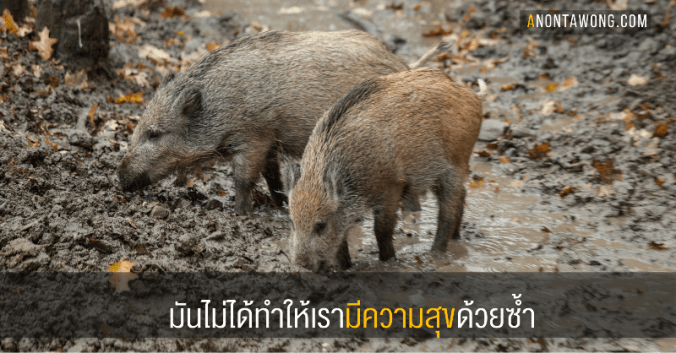 20180103_doesntmakeyouhappy