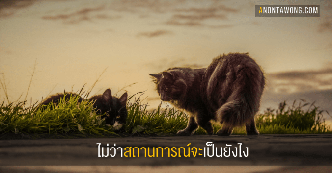 20180325_ihaveachoice