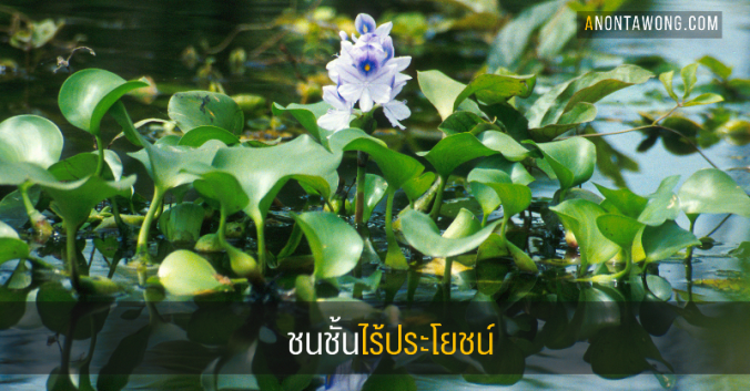 20180528_uselessclass