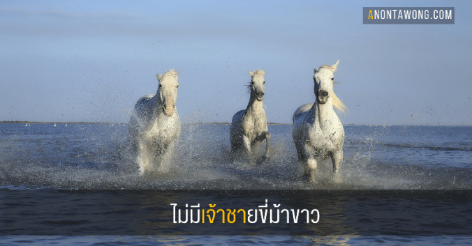 20180609_princecharming