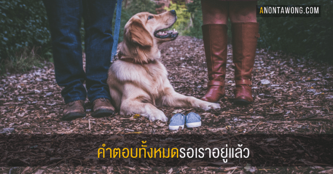 20180811_answerswaiting