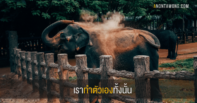 20190205_youdoittoyourself