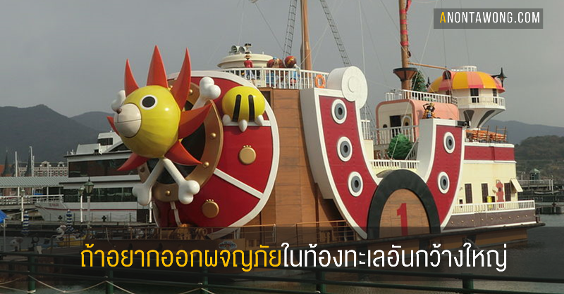 20190217_thousandsunny