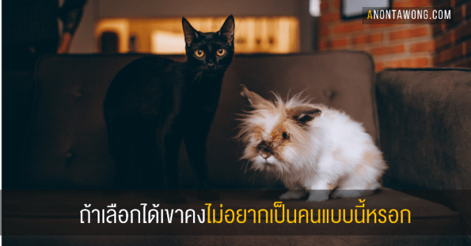 20190227_iftheycanchoose