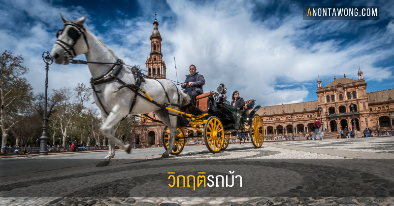 20190331_horsemanure