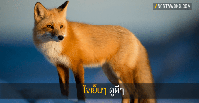 20190620_lookcarefully