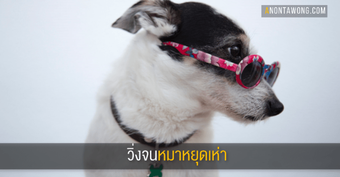 20190629_stopbarking